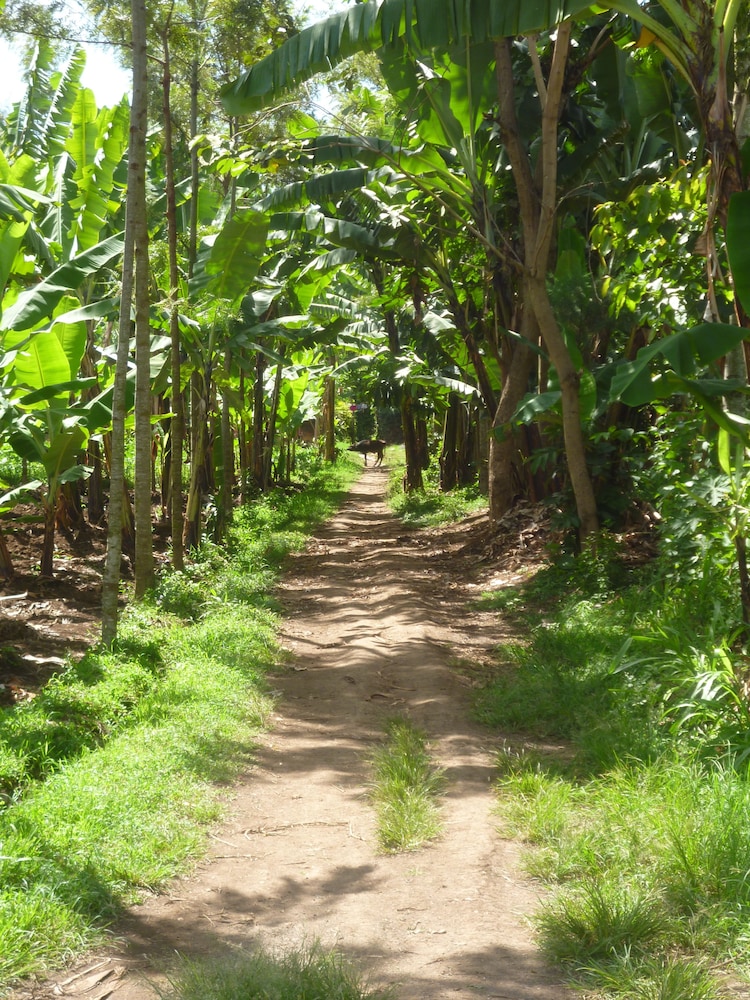 The Vijiji Center Lodge and Safari