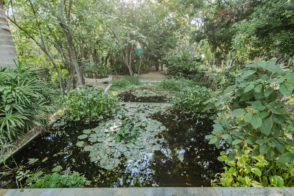 Photo 43