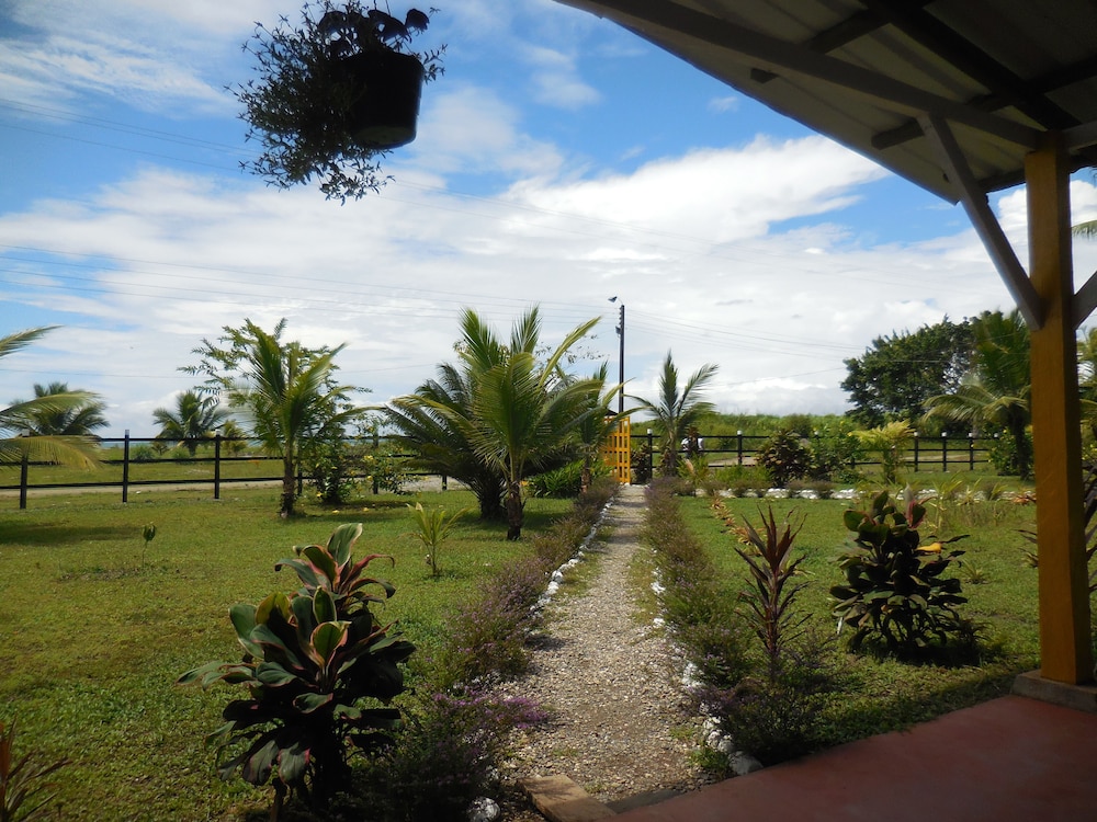 Photo 28