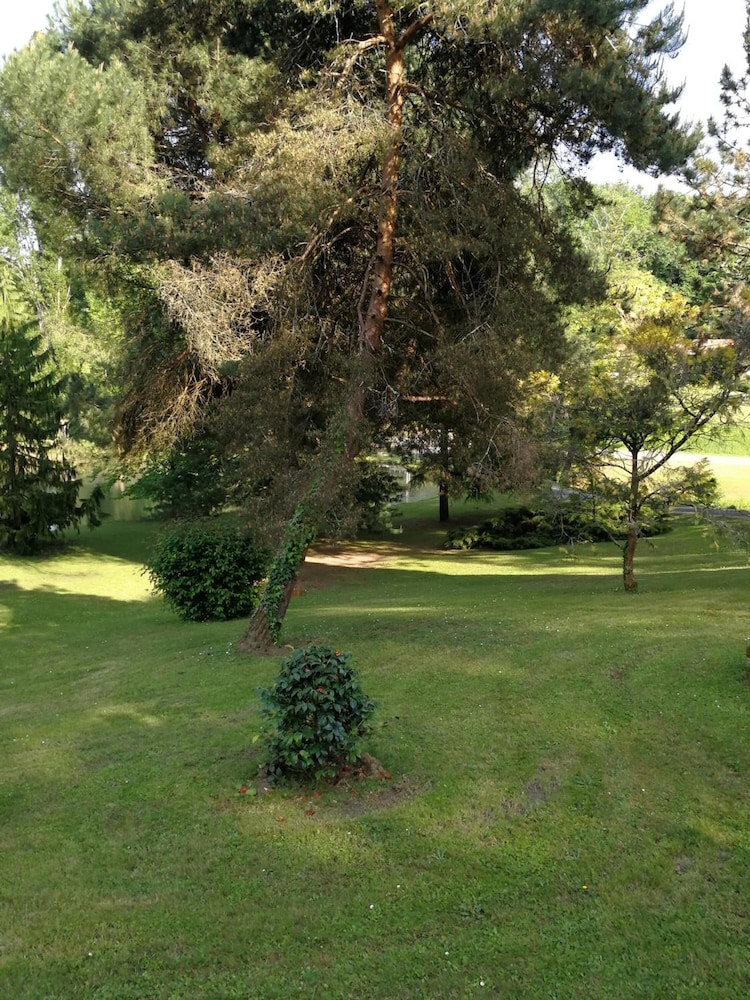 Photo 31