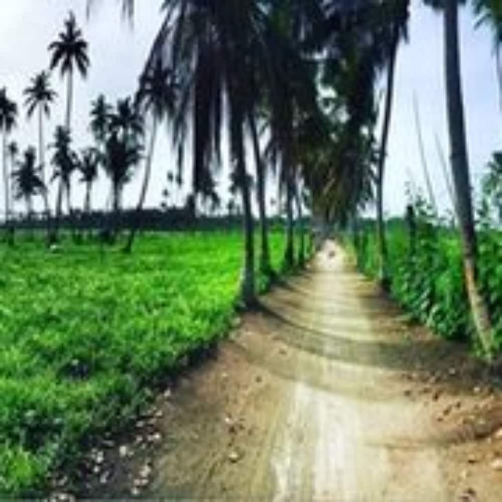 Veli Thoddoo Inn