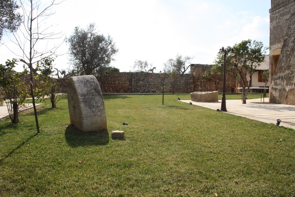 Photo 31