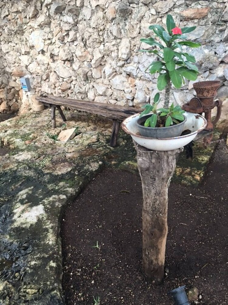 Photo 41