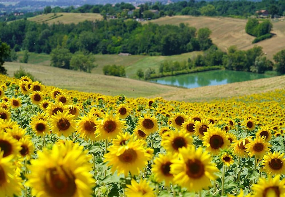B&B Il Sarale