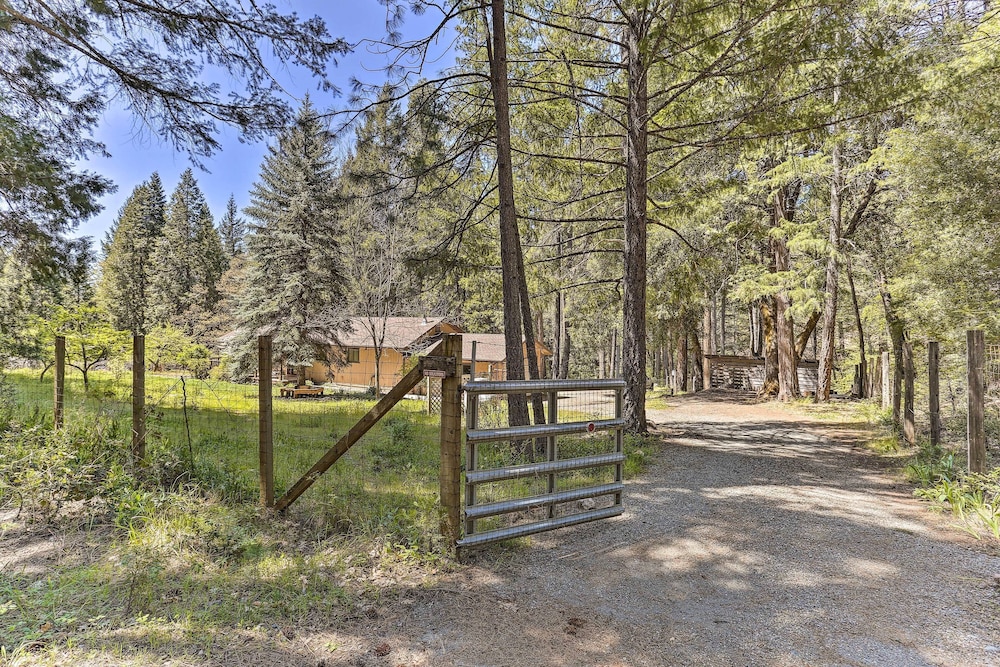 Vibrant Weaverville Escape w/ Deck & Creek!