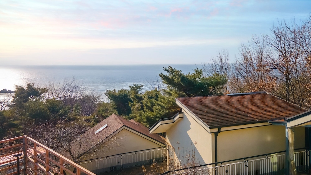 Ganghwa Raube Pet-friendly Pension