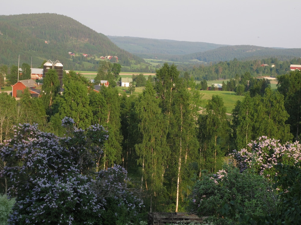 Lövbergs B&B