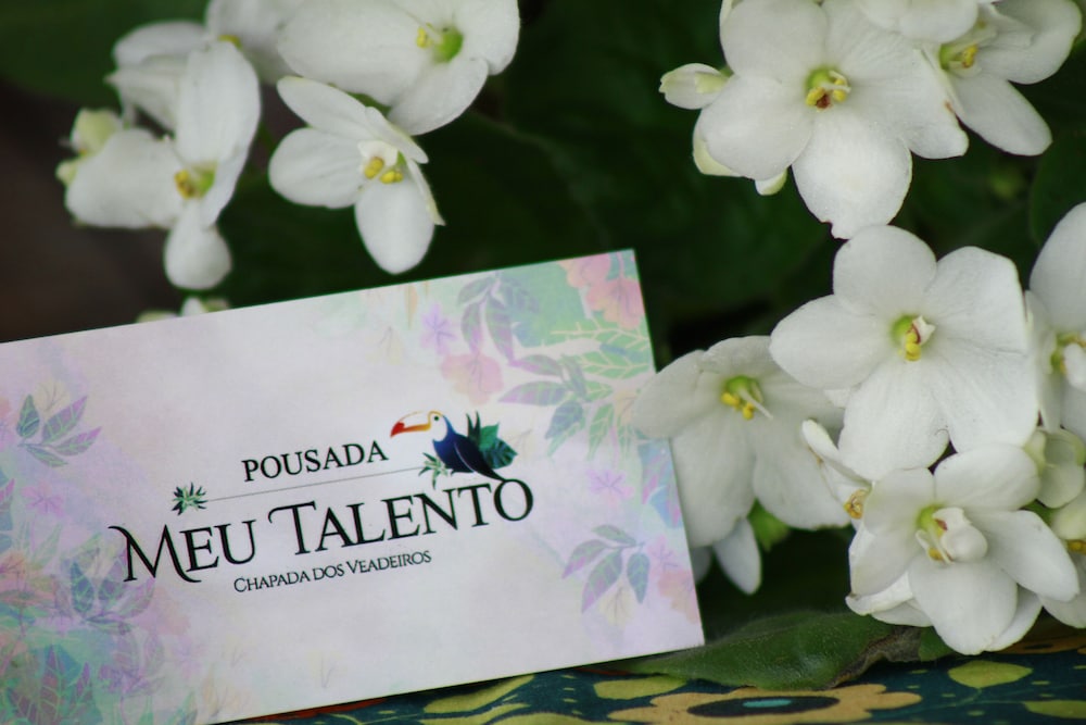 Pousada Meu Talento