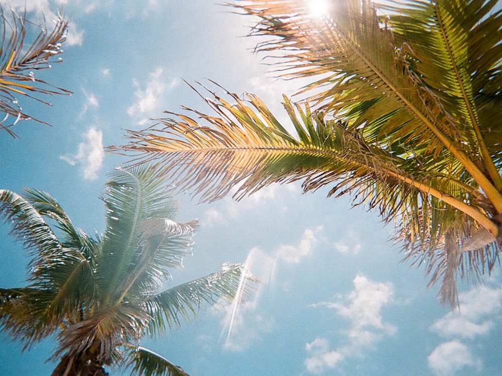 Villa in Champions Gate Resort 1751 - Image 4