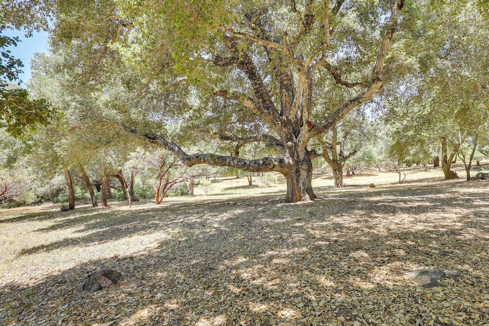 Wraparound Deck, Game Room - Cuyamaca Mtns Cabin!