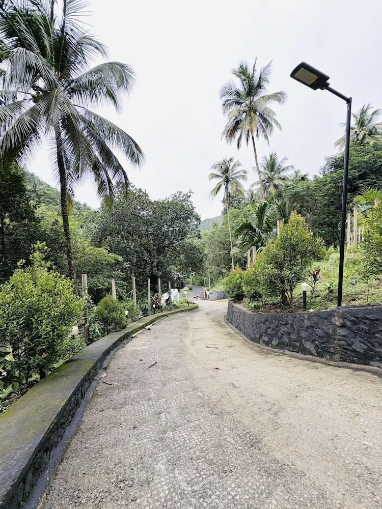 Vayalada Garden resort