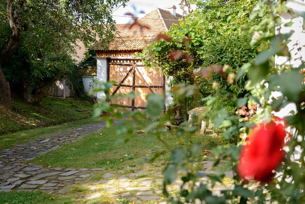 Photo 45