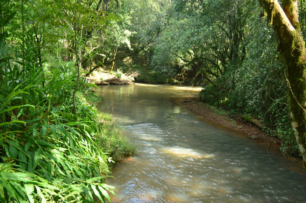 Coati Lodge