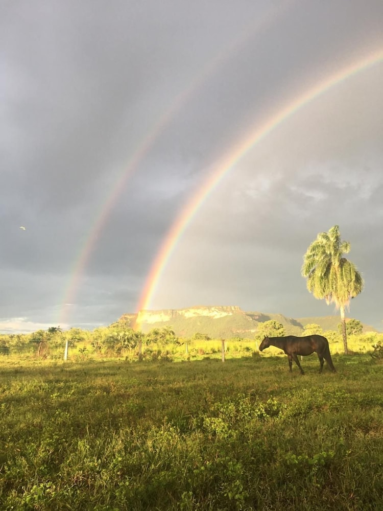 Fazenda Serra Negra - Terra Ronca