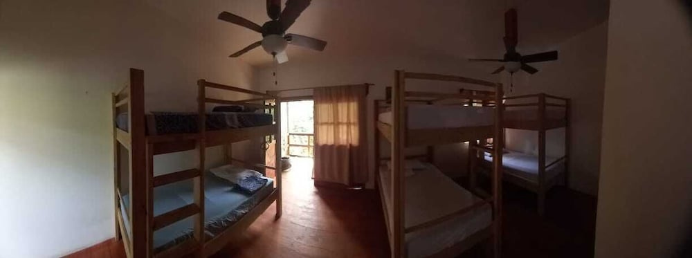 Onat Caribe Hostel view 5