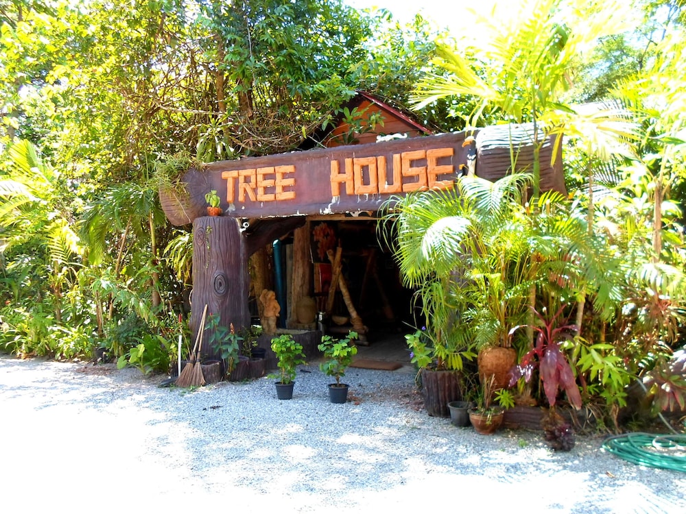 Khao Sok Tree House
