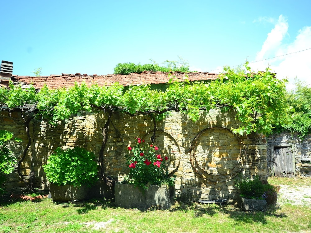 Photo 11