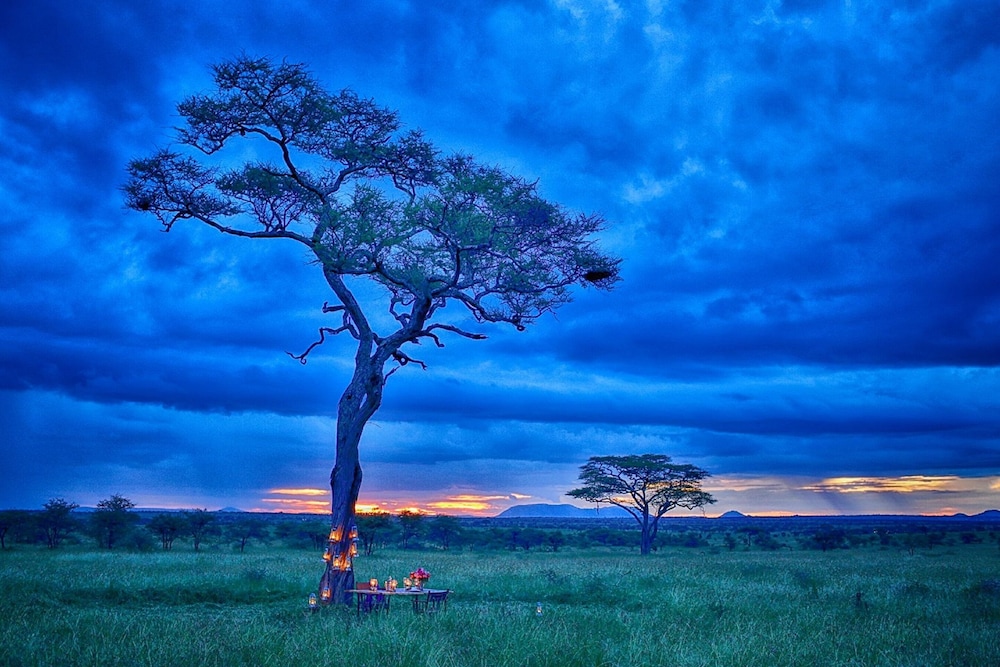 Pumzika Luxury Safari Camp - East Africa Camps