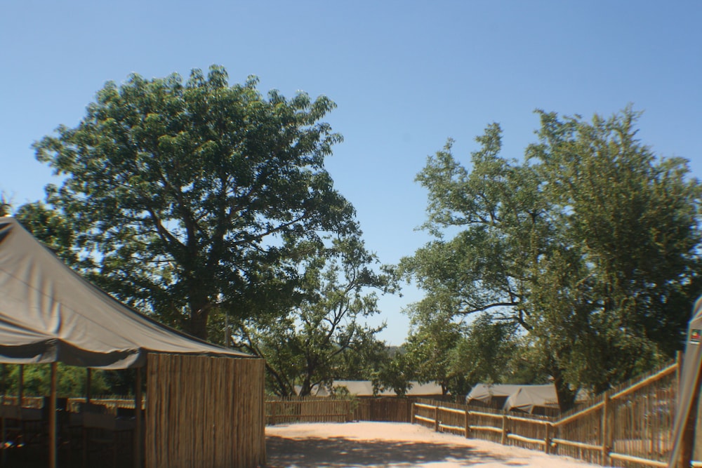 Photo 32