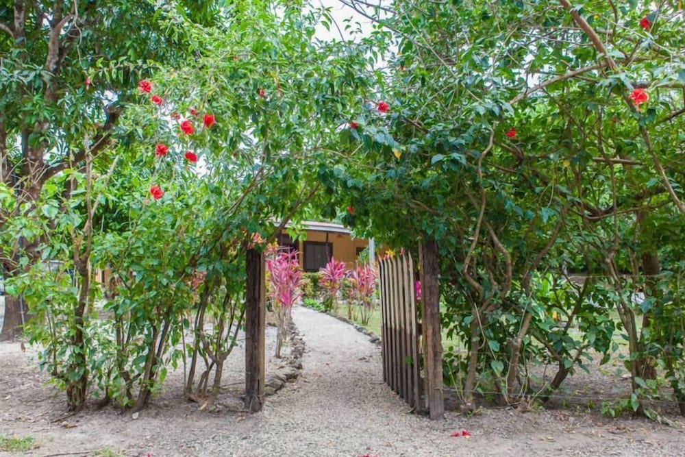 Nosara Beach Hostel
