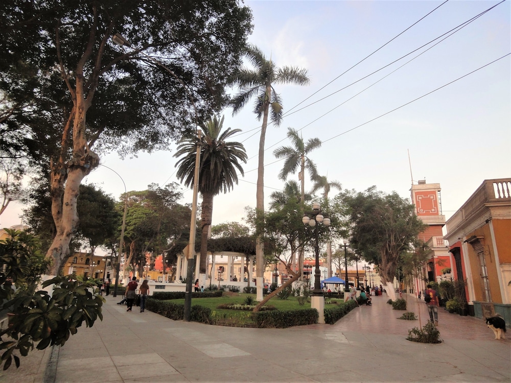 Photo 48