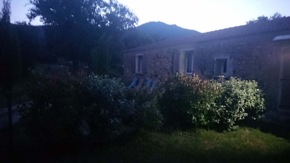 E Canicce