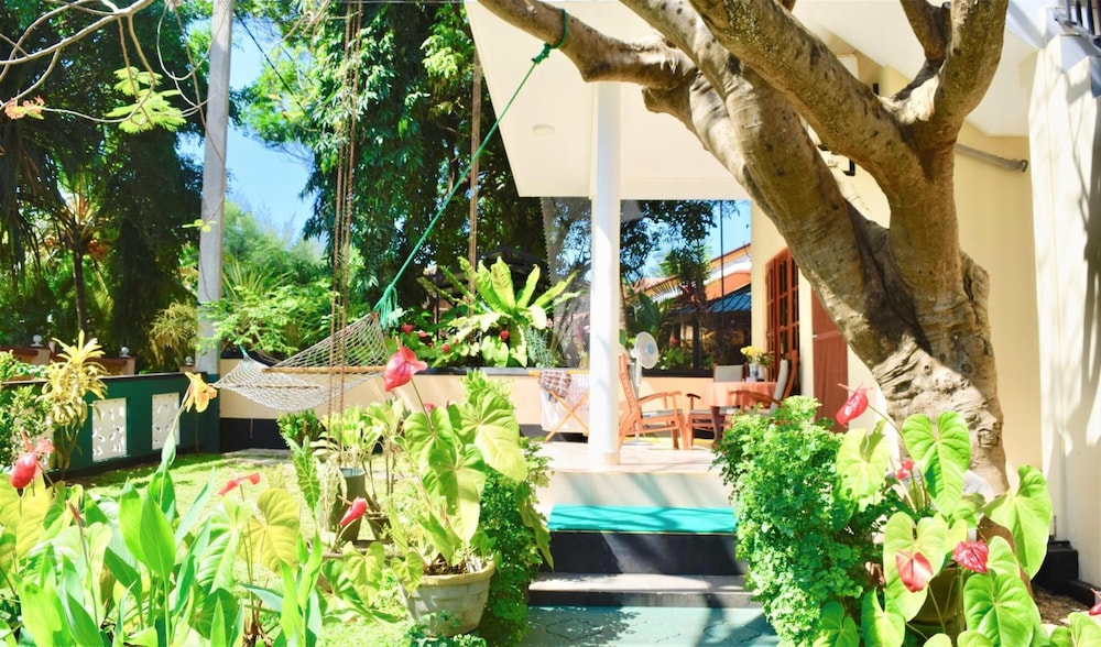 Rico Shadow Guest House
