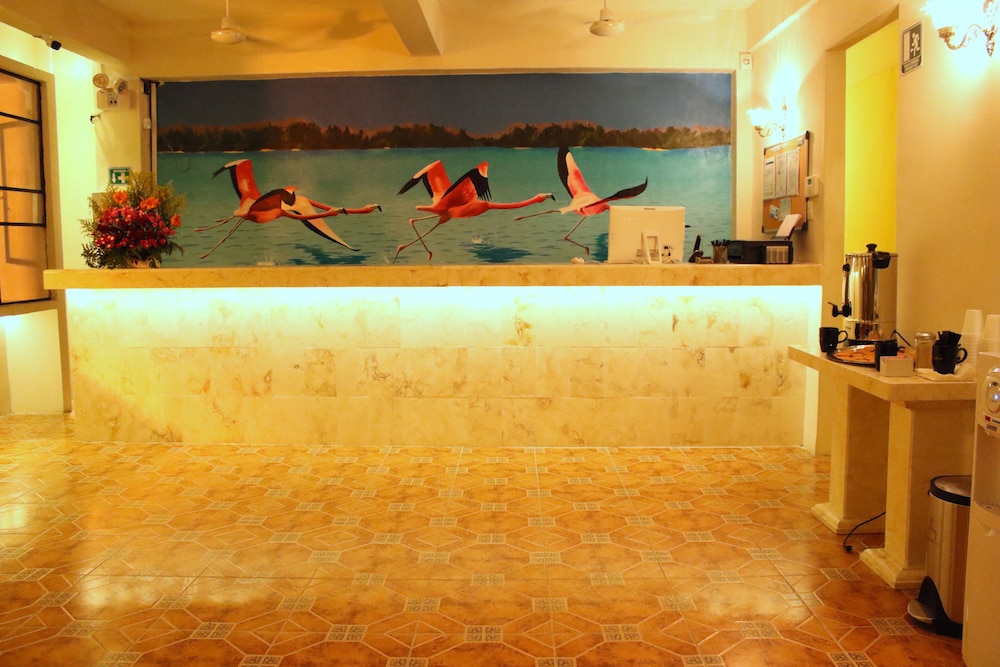 recepcion & lobby