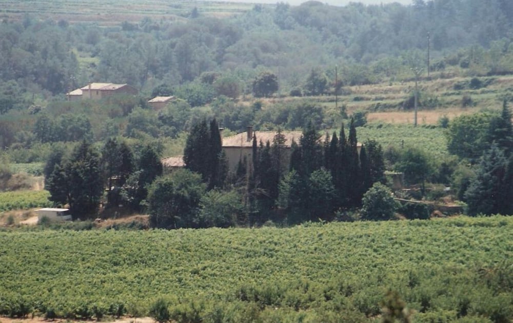Domaine Χανόην Ραμπέρ, Φωτογραφία 22