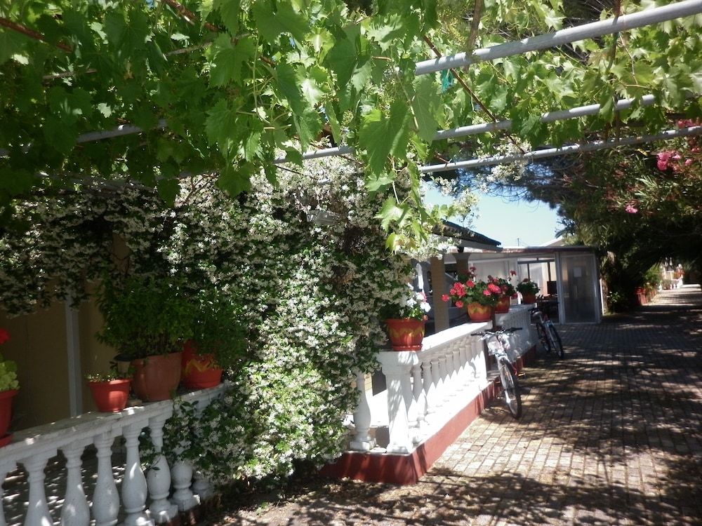Photo 26