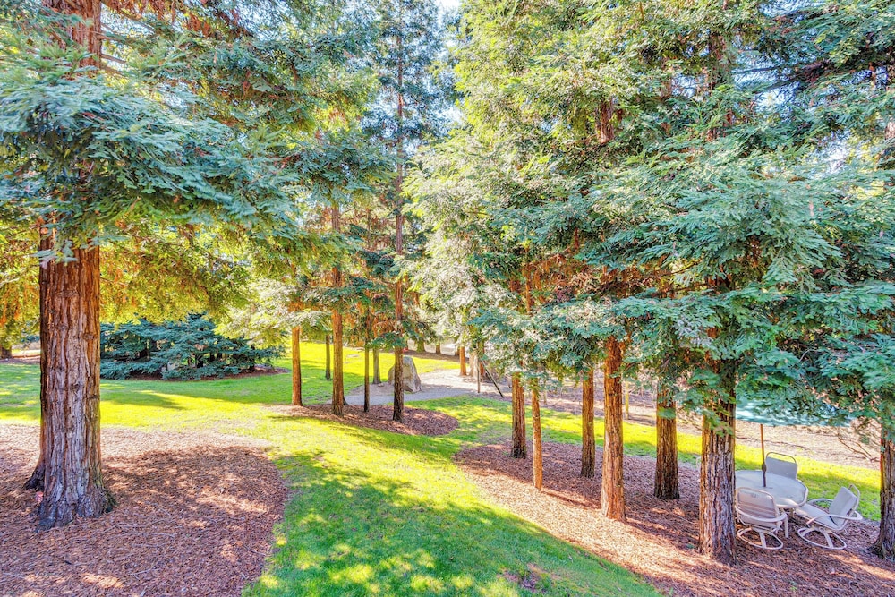 Luxe Vineyard Villa w/ Views & Fire Pit in Loomis!