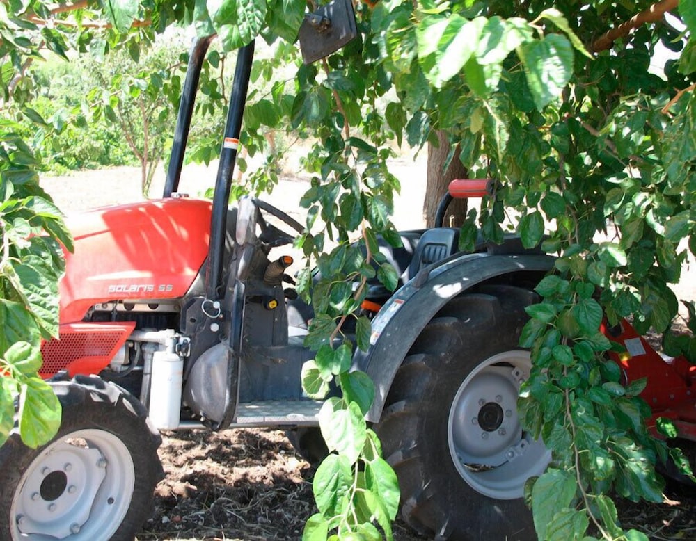 Agricampeggio Maccari