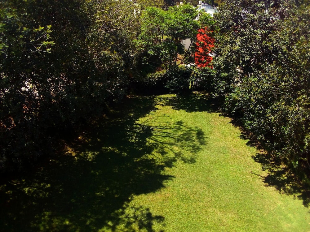 Photo 48