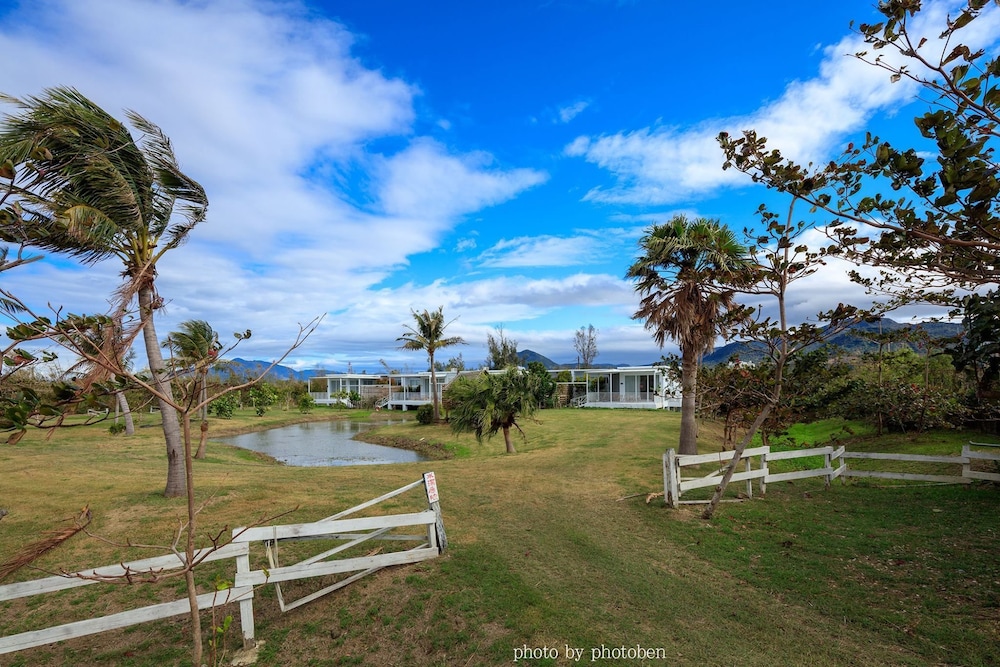 Wild Island B&B