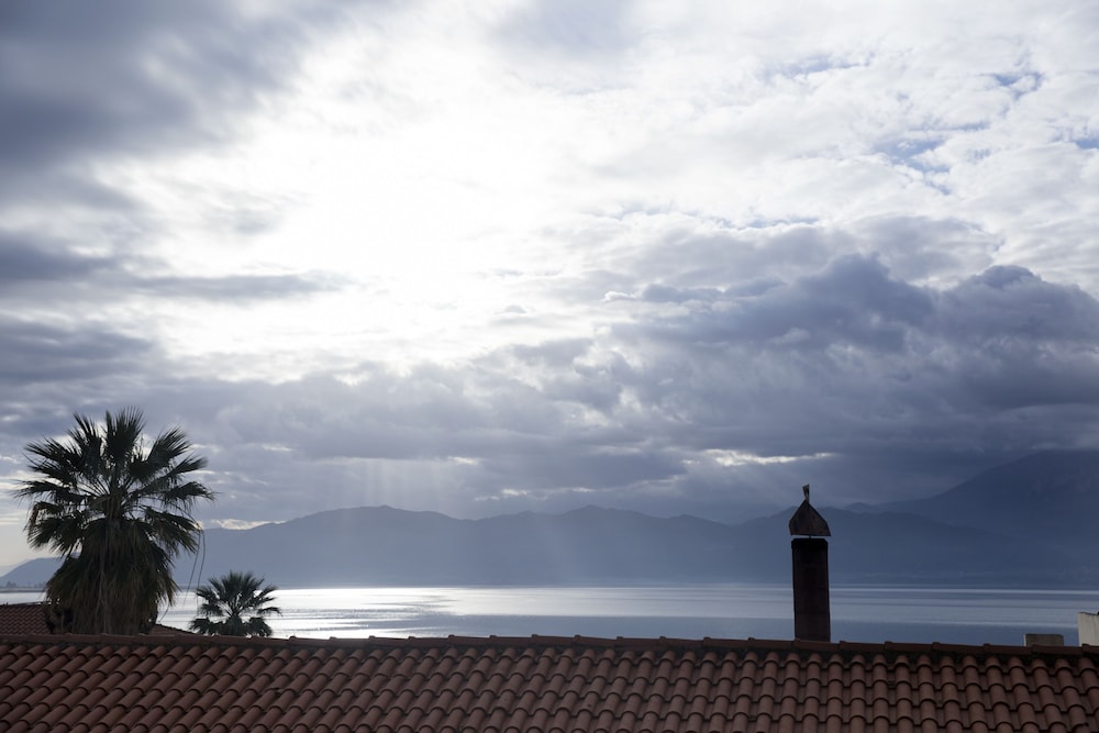 Apollon Library Suites photo 5