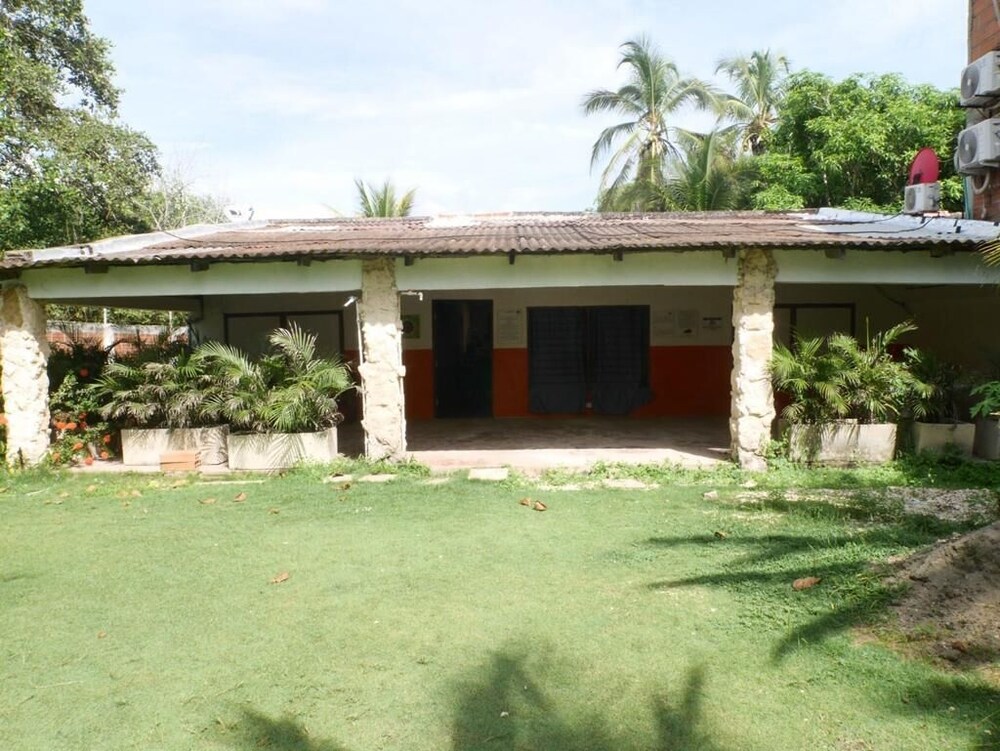 Las acacias Tolu