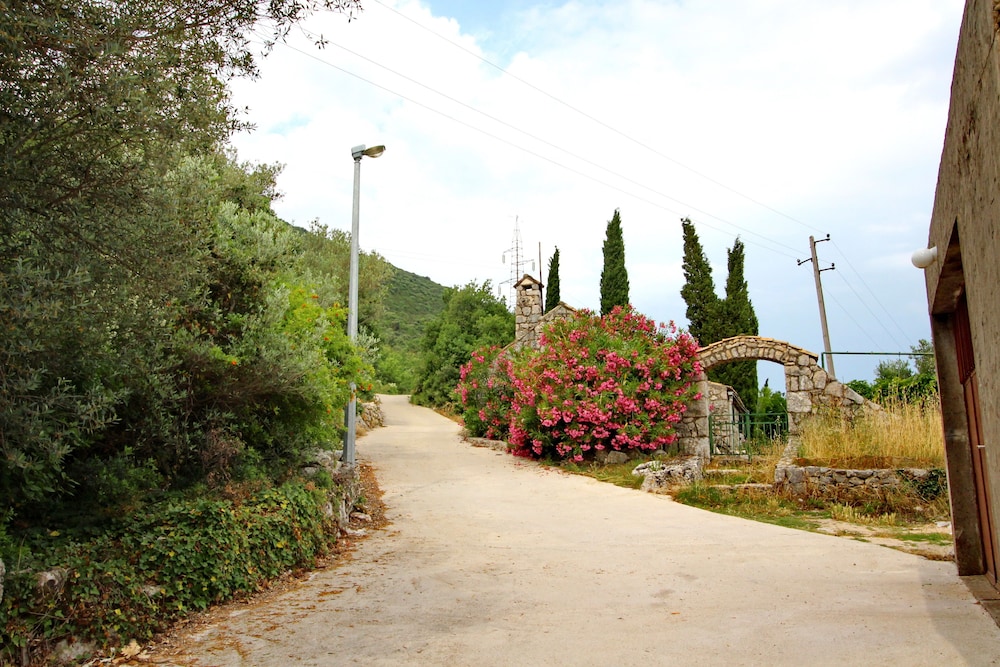 Photo 8