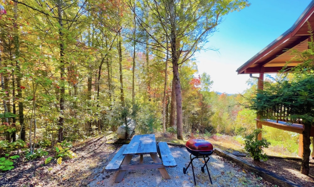Eagles Nest 1 Bedroom Cabin