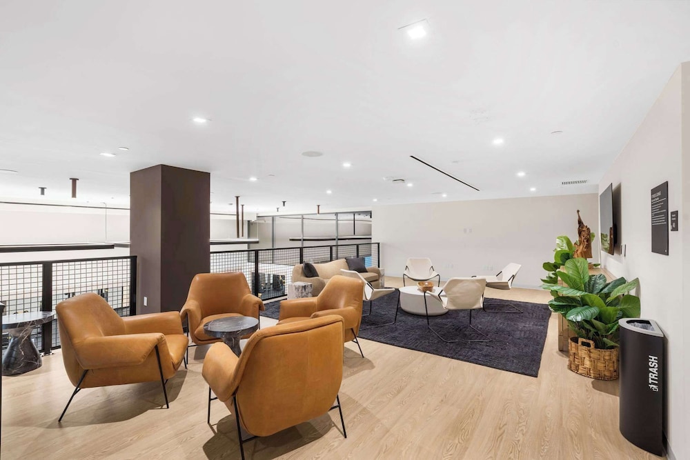 Luxury City Views in Downtown Miami