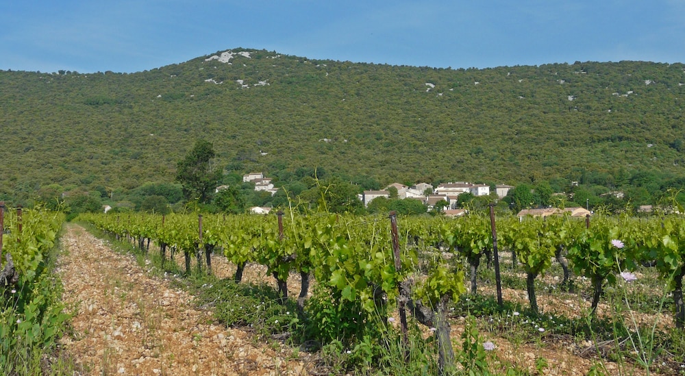 Demeure cévenol Les Rameaux view 3