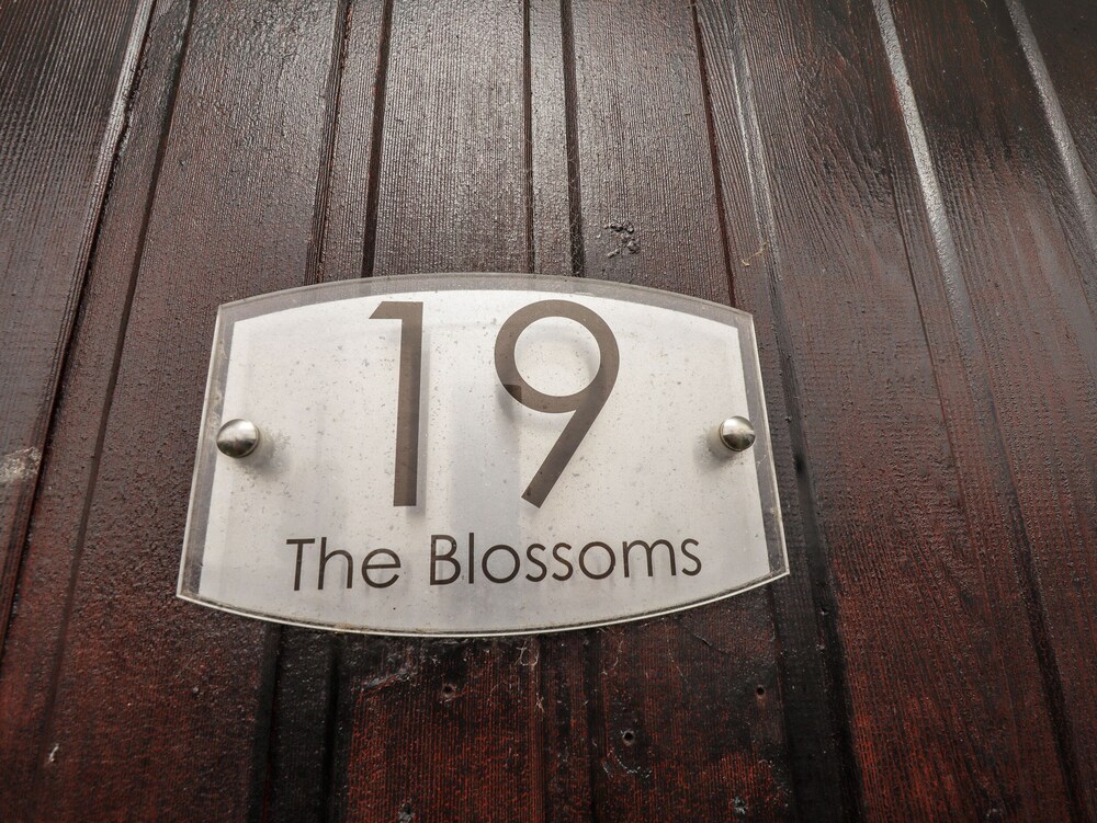 19 Cherry Park