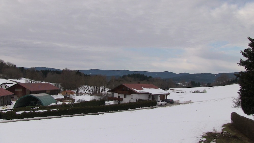 Photo 39