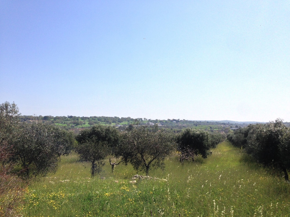 Photo 35