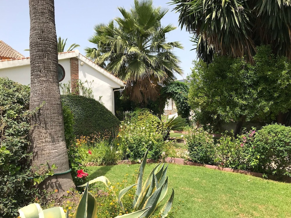 B&B Cortijo Andaluz