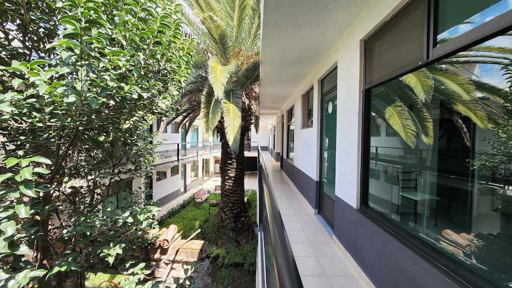 La Palma Co-living view 4