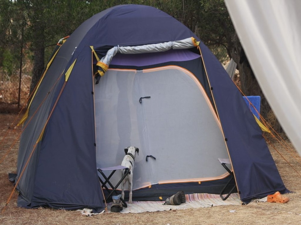 Camping Ciauli view 5