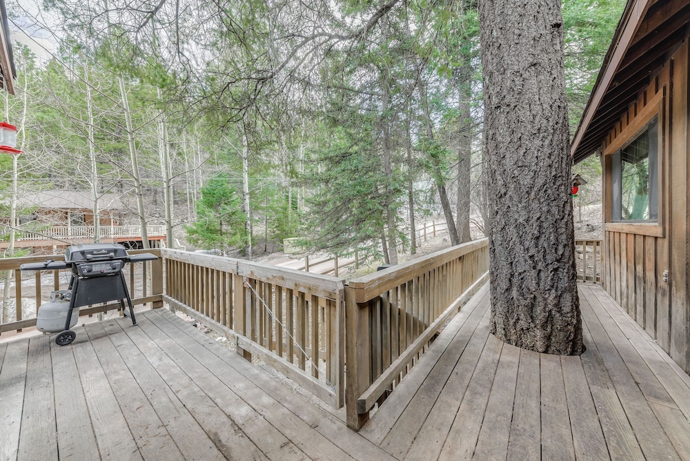Cloudcroft Cabin Vacation Rental: 3 Mi to Skiing! view 3