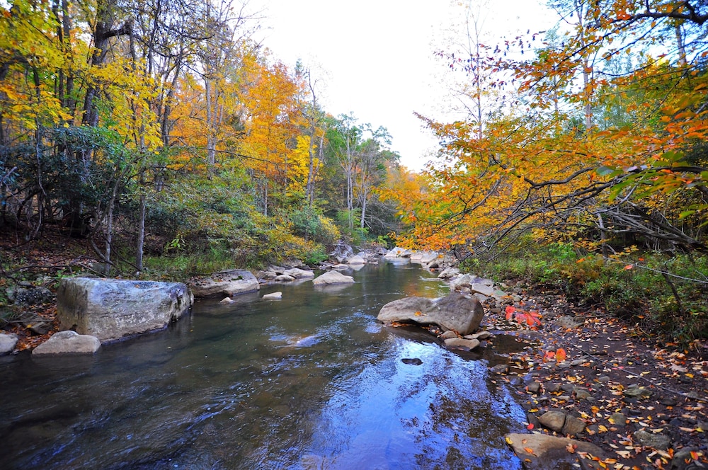 Abrams Creek Center