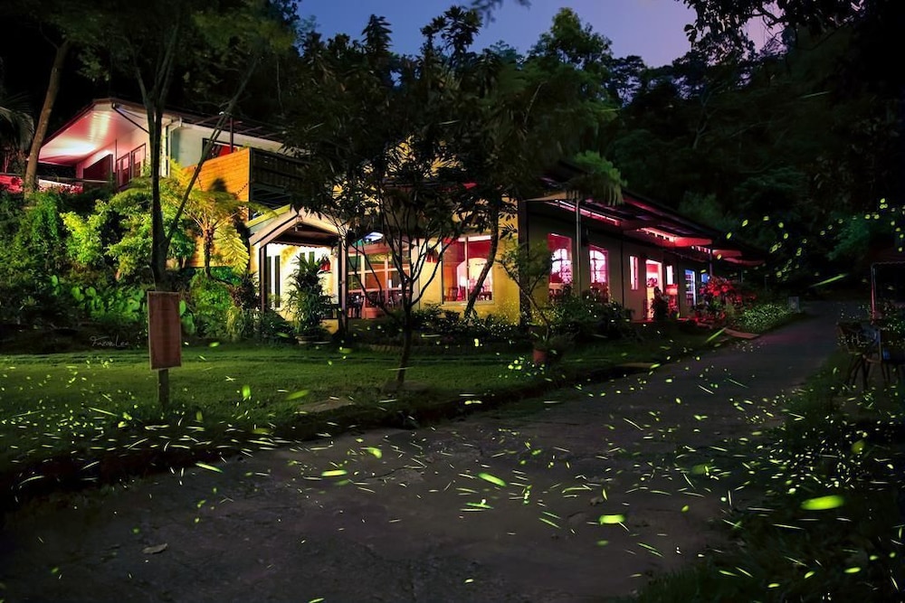 Springcreek Hostel