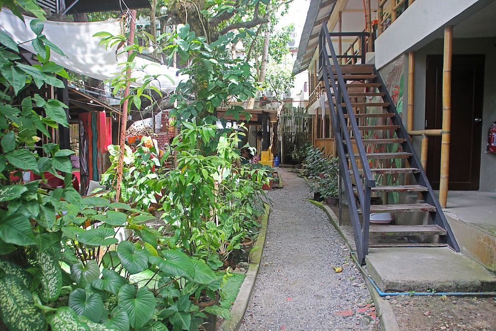 The Lazy Dog Bed & Breakfast
